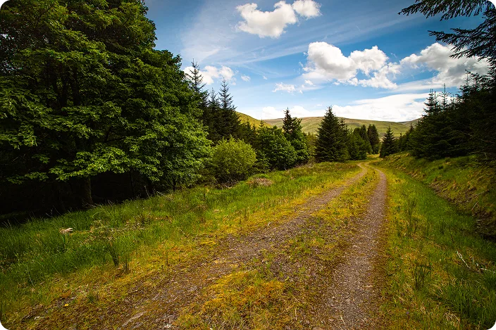Wind turbines at sunset