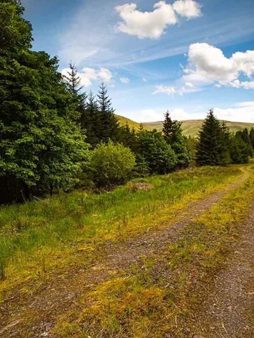 Liquidity, risk profiles and fund options explained