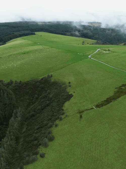 Foresight Natural Capital achieves successful first