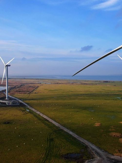 Foresight signs joint statement to safeguard the EU’s sustainable finance framework