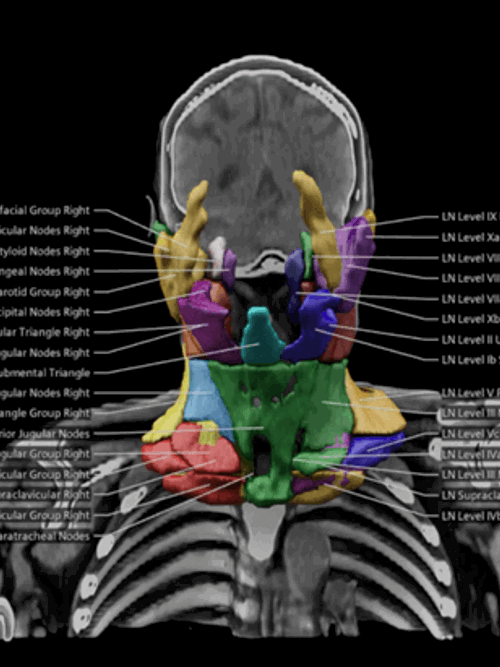 AI-augmented health care in the (dis)information